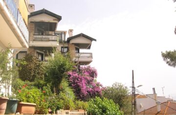 Photo potted garden flowers