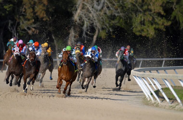 Photo horse racing